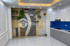 Nhà vip cầu giấy 33m2 ô tô đỗ, mt 4.7m 5 tầng, giá 4.7 tỷ