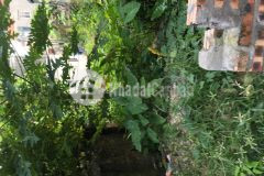 Duy nhất thượng thanh long biên đất đẹp 50m2 mt4m ngõ thông ô tô đậu chỉ 3.25 tỷ.