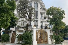 Bán biệt thự mễ trì lô góc vị trí cực hiếm 440m x 4 tầng mt25m nhà cực đẹp.gía 69 tỷ