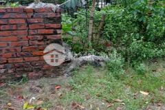 Bán 49m2 đất lệ chi gia lâm ô tô vào đất nở hậu ở sướng 0333.002.999