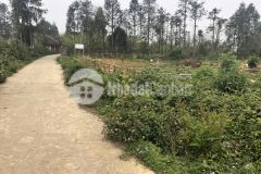 Cần bán mảnh đất hơn 800m2 trung tâm tài chính thấp phù hợp đầu tư sinh lời