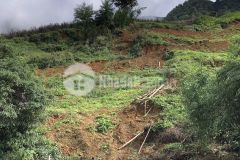 Bán gấp mảnh đất rộng 9000m2 ngay trung tâm sapa, giá đẹp cho các nhà đầu tư