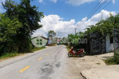 Bán mảnh đất vườn lâu năm 27000m2 tại mộc châu có pháp lý rõ ràng