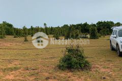 Bán 3 lô đất vườn bình thuận gần đường liên huyện, liên xã giá dưới 600tr lh 0938677909 hiền