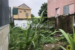 Đất cho nhà đầu tư sinh lời