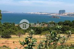 Bán đất phan hiệp cách đường liên huyện 200m, cách biển 3.5km chỉ 587tr lh 0938677909 hiền xem sổ