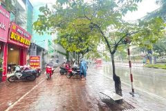 Cần bán gấp mảnh đất mặt phố kim đồng ô tô vào nhà, kinh doanh đỉnh, dt 120m2, mt 6m giá 15 tỷ