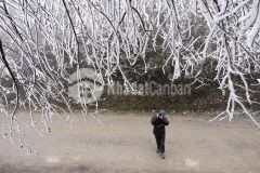 Mảnh đất rộng hơn 3000m2 trung tâm y tý tài chính thấp phù hợp để đầu tư sinh lời lớn