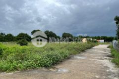 Bán 2 lô đất ven đầm cam hải tây đẹp rẻ