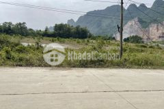 Chính chủ em bán 8778m đang ra sổ mới toàn bộ đất vườn