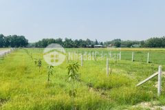 Bán đất xây nhà vườn 1048m2 giá rẻ 1ty498, shr gần kênh lớn, đường xe hơi, đất gò cao ráo