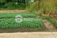 Bán đất cần giuộc, đường xe oto tới đất, 102m2 thổ cư, shr, 720tr, lh0822801368.