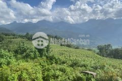 Bán mảnh đất khu đô thị du lịch hot nhất tương lai y tý sapa2