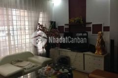 Bán nhà ô tô tải đỗ cửa, kinh doanh, gần phố phùng hưng, 45mx5t nhỉnh 5 tỷ.