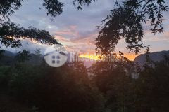 Bán 900m2 đất thôn sin chải y tý sapa 2 nơi săn mây đón tuyết thích hợp nhiều loại hình kinh doa