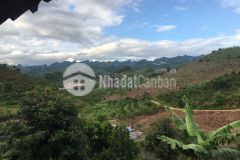 Bán mảnh đất thích hợp làm farm gần ql6 ở mộc châu