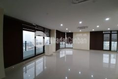 Bán ngay building 9 tầng thang máy mặt phố nguyễn xiển, thanh xuân, 16.5m mặt tiền, sđcc