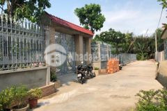 Lô đất lớn giá mềm,đã xây tường rào đường 160, tăng nhơn phú a, quận 9, dt 500m210 tỷ.