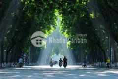 Mặt phố phan đình phùng, mặt tiền 4m, vỉa hè rộng 8m, quá đẹp, 12.8 tỷ. 0703451750