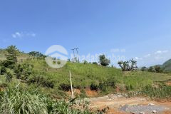 Mảnh đất vườn rộng 2.8ha tại mộc châu giá rẻ để đầu tư