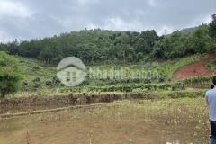 Bán gấp mảnh đất hơn 5000m2 gần thác dải yếm cực thích hợp để đầu tư