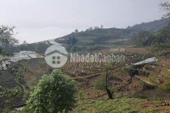 Bán 617,3m2 mảnh đất trung tâm y tý giá phù hợp để đầu tư