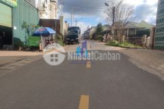 Bán đất trần đại nghĩa phường 8 tp. đà lạt. diện tích 309 mv 1917 giá bán 9.6 tỷ