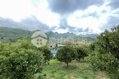 Mảnh đất sinh lời cực lớn tại mộc châu