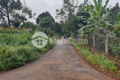 Đất hẻm 171 nguyễn thái bình thích hợp ở hoặc đầu tư