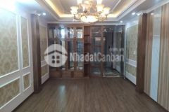Bán gấp nhà nguyễn ngọc nại thanh xuân, 45m 6.5t 9.8 tỷ.