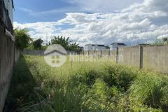 Mua 1216m2 đất tặng nhà biệt thự chợ vượt lũ p8, tp.vĩnh long, 12 tỷ. lh0971577588