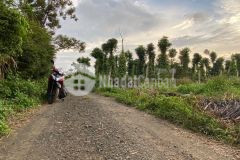 Đất hẻm cấp 1 quốc lộ 26 thích hợp làm nhà vườn hoặc đầu tư