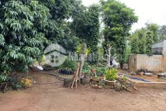 Bán 4,1 sào đất cafe cây ăn trái quỳnh ngọc krong ana giá 1,5 tỷ