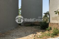 Bán lô đất hoa hậu dịch vụ yên nghĩa mặt đường hàng cây 36m, 50m2, kd đỉnh