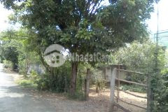 Chính chủ bán 905m2 đất ấp bến tranh, định an, trà cú, trà vinh, shr, 750tr. lh0962979113