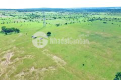 11000m2 đường nhà nước 8m và kênh nước cách ql1a 1.5km giá 1.44 tỷ