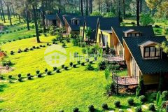 Cần bán lô đất vườn tại nông trường mộc châu giá rẻ, view đẹp