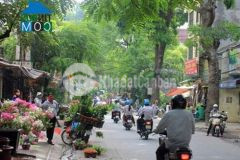 Cc phố hoàng hoa thám bán đất tặng nhà 2 tầng dt80m x 2 tầng. mt 8.8m. ngõ thông, kinh doanh.