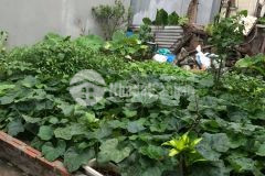 Đẹp rẻ nhất thạch bàn 44m chỉ 2 tỷ ô tô cạnh nhà. lh 0961316389