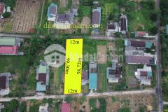 Mua bán nhà đất huyện cam lộ giá rẻ t112021, đất diện tích rộng vĩnh an 0941076225