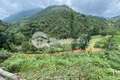 3000m2 đất tả phìn sapa, giá đẹp cho các nhà đầu tư