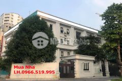 Đất biệt thự villa nhà máy sưởng 2 mặt tiền 2250m2