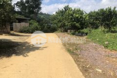 Mảnh đất rộng 2675m2 tại mộc châu thích hợp kinh doanh homestay, trang trại