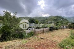 Bán đất đẹp mộc châu, nhanh tay đầu tư đón sóng quy hoạch flc sắp tới