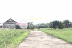 Mua bán đất huyện cam lộ vị trí đẹp, giá rẻ t112021 trương xá, cam hiếu, cam lộ