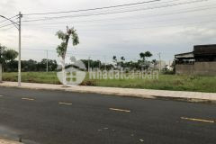 Bán 115,7m2 thổ cư, dự án cát tường phú sinh, shr, chỉ 1.55 tỷ. lh0339688332