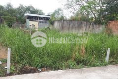 Cần vốn bán đất hẻm ba gác đường bưng ông thoàn, phú hữu, quận 9, dt 51m22.5tỷ.