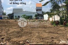 Đất mặt tiền đường nhựa thổ cư cần đước long an