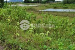 Bán lô đất 33.000m2, đất có sổ cạnh kcn việt tiến, việt yên, bg. chỉ 20 tỷ.