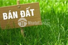 Bán đất kim giang, mặt tiền 9.5m, ngõ to, ô tô tránh,ô tô vào nhà.